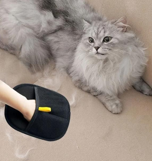 Pet Hair Removal Glove – Gentle Grooming & Shedding Brush in On