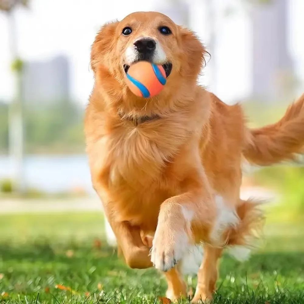 Dog Rubber Ball