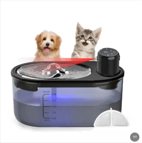 Smart Pet Water Fountain - Timing