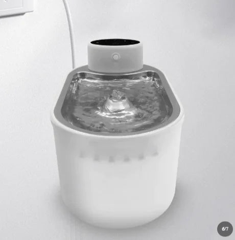 Smart Pet Water Fountain - Timing