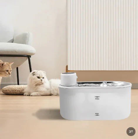 Smart Pet Water Fountain - Timing